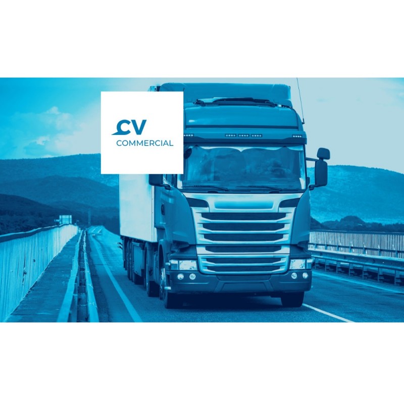 Jaltest CV - Commercial Vehicles (Atnaujinimai) - Diagnostikos