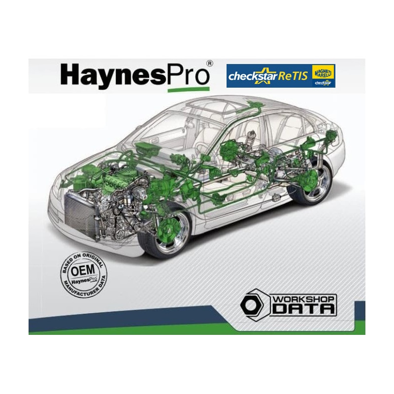 ReTIS (HaynesPRO) - Diagnostic equipment